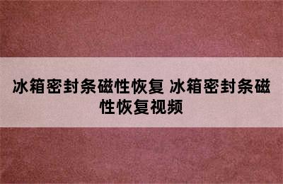 冰箱密封条磁性恢复 冰箱密封条磁性恢复视频